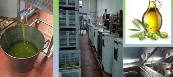 3غرفة منزل في Montalto Uffugo, Italy رقم 160277 18