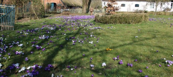 6غرفة مزرعة في Cuxhaven, Germany رقم 187841 33