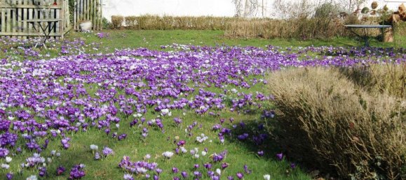 6غرفة مزرعة في Cuxhaven, Germany رقم 187841 32