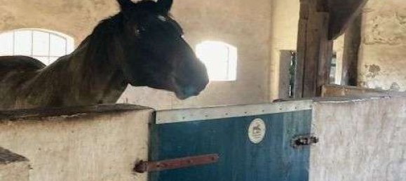 6غرفة مزرعة في Cuxhaven, Germany رقم 187841 23