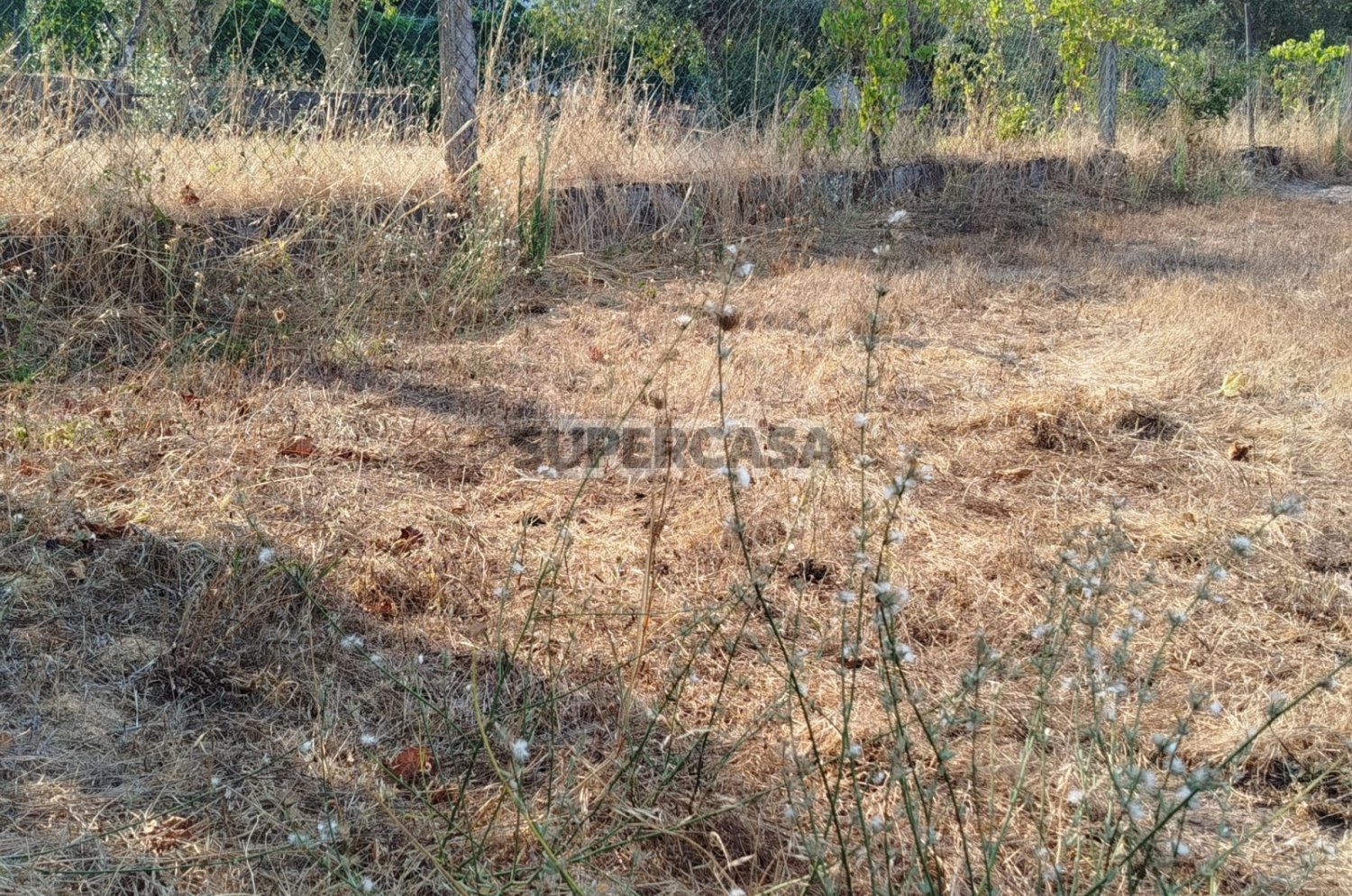  Land in Mangualde, Portugal No. 295166