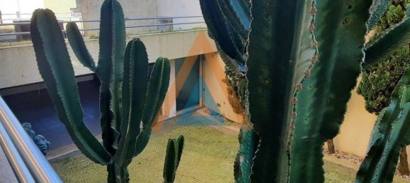 Casa de 3 dormitorios en Sao Joao da Madeira, Portugal No. 43748 43