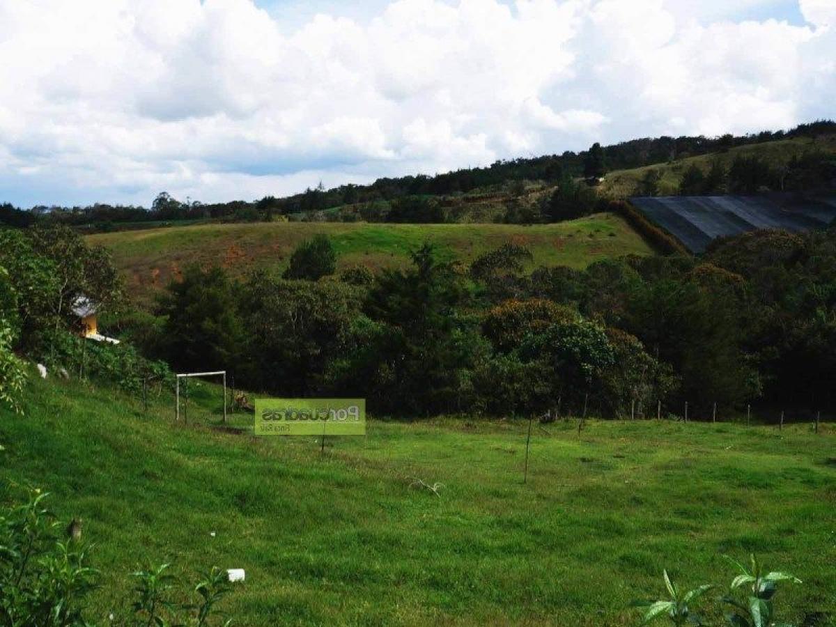  Land in Antioquia, Colombia No. 476