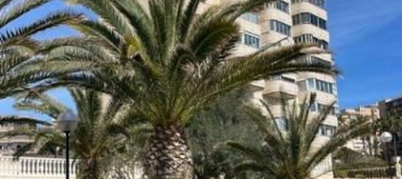 2 bedrooms Apartment in El Campello, Spain No. 168013 11