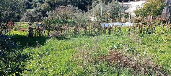 3 Schlafzimmer Haus in Penela, Portugal, Nr. 165343 21