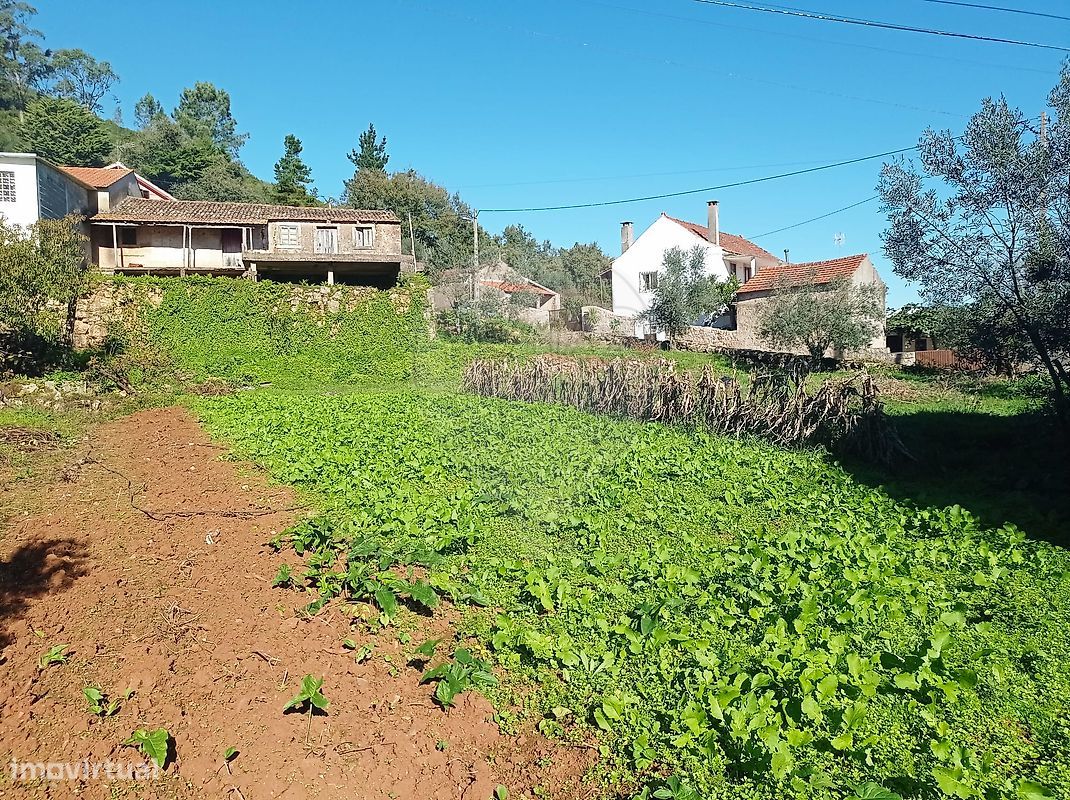 3 Schlafzimmer Haus in Penela, Portugal, Nr. 165343