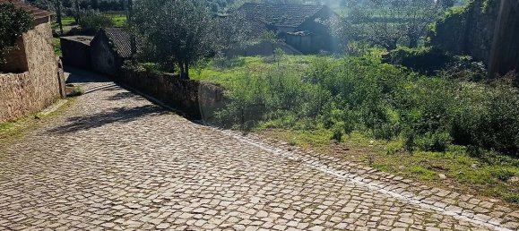 3 Schlafzimmer Haus in Penela, Portugal, Nr. 165343 17