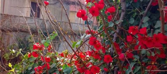 Casa T6 em Andora, Italy N.º 12660 3