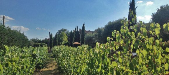 5 bedrooms House in Cortona, Italy No. 234 6