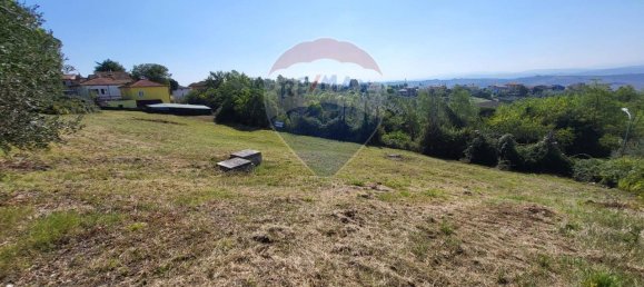 1 room Land in Belvedere Ostrense, Italy No. 3095 2
