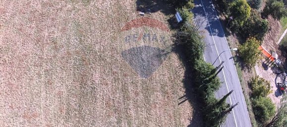 1 room Land in Belvedere Ostrense, Italy No. 3095 5