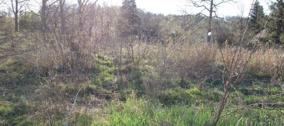  قطعة أرض في Kirchstetten, Austria رقم 165531 2