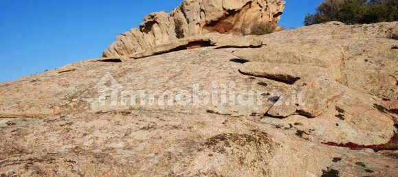 3 غرف نوم فيلا في Arzachena, Italy رقم 259336 4