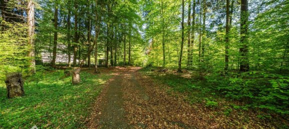  Land in Velden am Worther See, Austria No. 251289 11