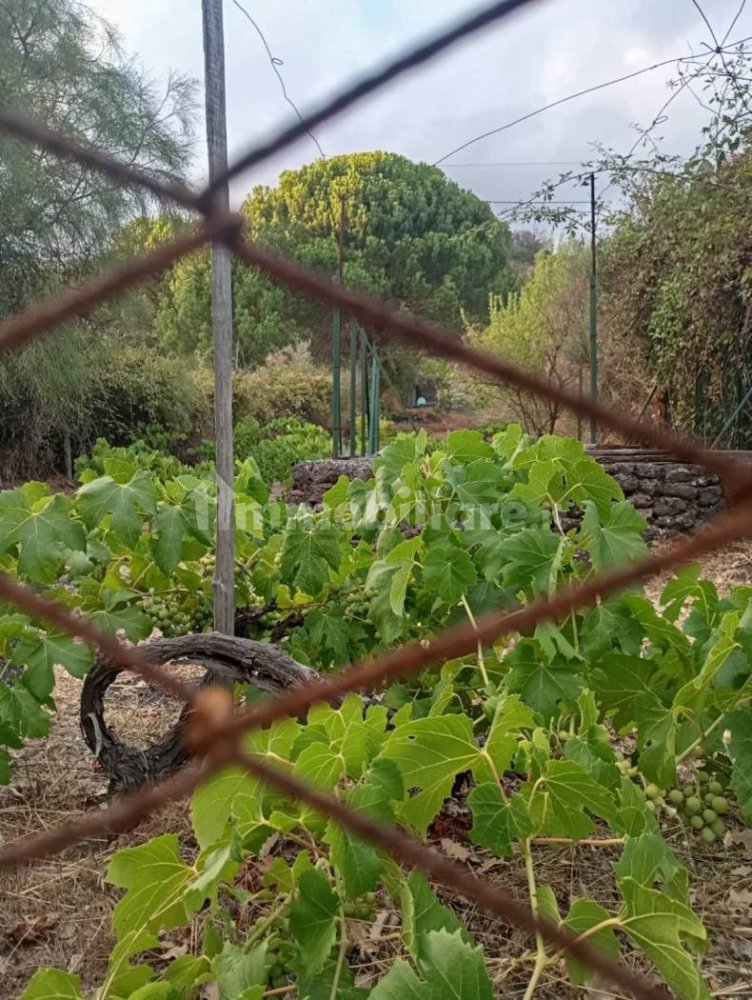 Grundstück in Nicolosi, Italy 1500m², Nr. 273503