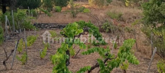 Grundstück in Nicolosi, Italy 1500m², Nr. 273503 4