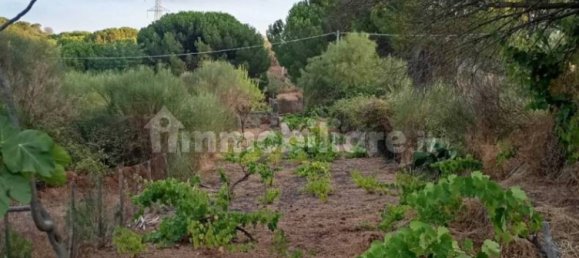 Grundstück in Nicolosi, Italy 1500m², Nr. 273503 6