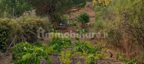 Grundstück in Nicolosi, Italy 1500m², Nr. 273503 9