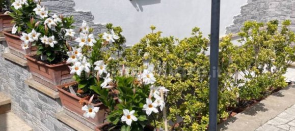 Casa T2 em Ardea, Italy N.º 256110 3