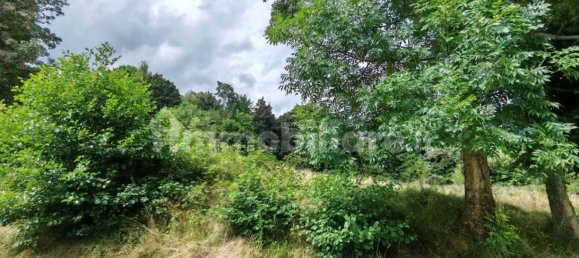 Terreno em Pollone, Italy 6500 m² N.º 264093 5