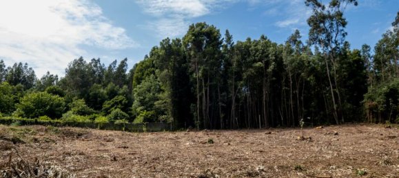 Земельный участок в Мадалена, Португалия № 123081 10