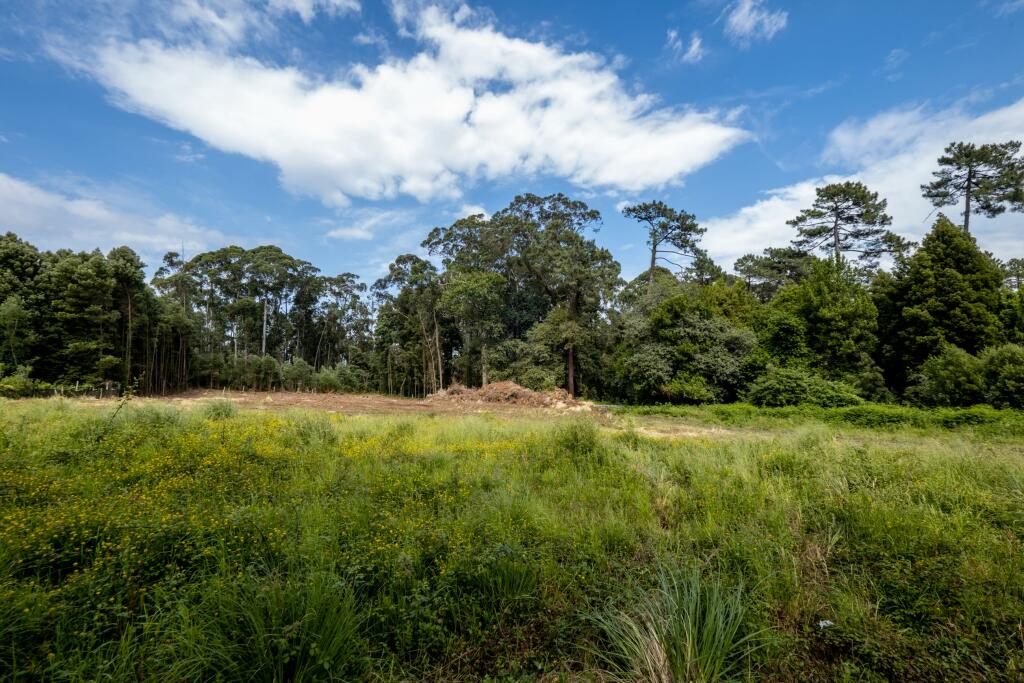 Земельный участок в Мадалена, Португалия № 123081