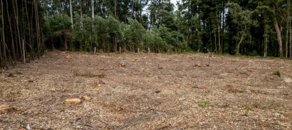 Земельный участок в Мадалена, Португалия № 123081 7