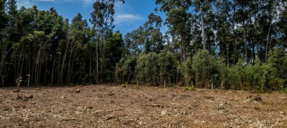 Земельный участок в Мадалена, Португалия № 123081 8