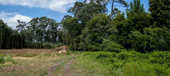 Земельный участок в Мадалена, Португалия № 123081 12