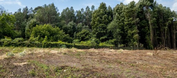 Земельный участок в Мадалена, Португалия № 123081 6