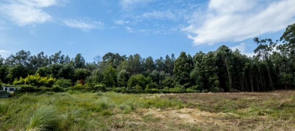 Земельный участок в Мадалена, Португалия № 123081 13