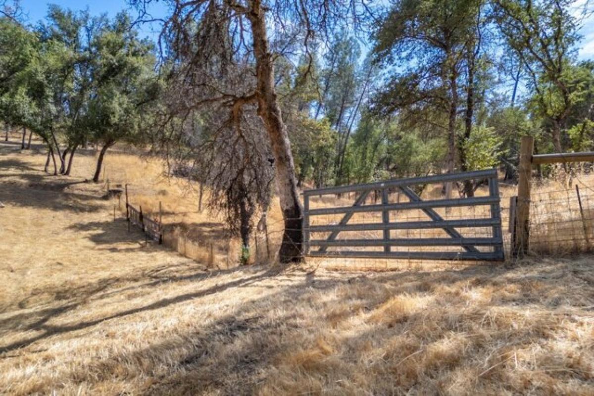 3 Schlafzimmer Haus in Redding, USA, Nr. 428997