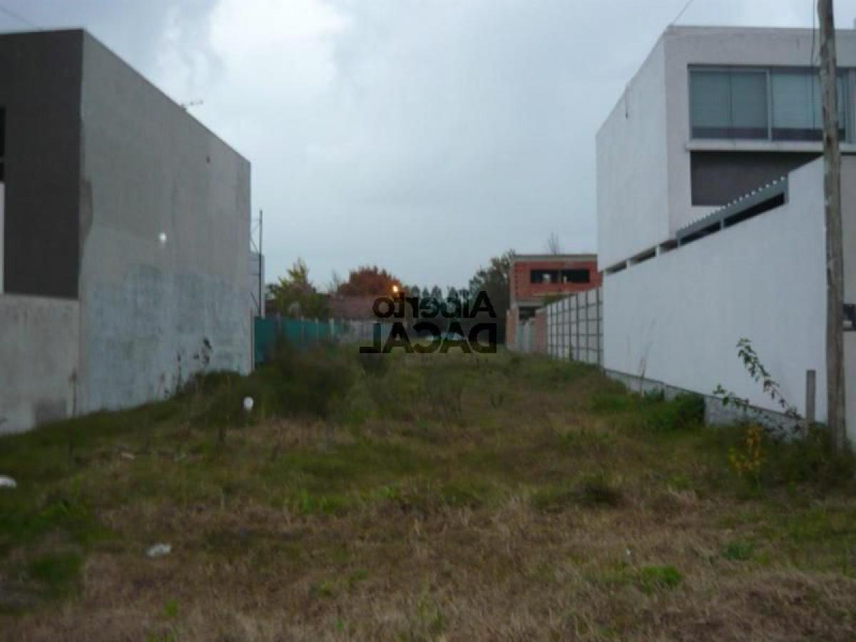 Terreno en Campo Creado, Argentina No. 48658