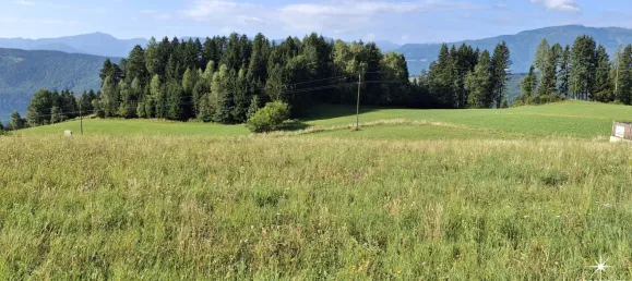 Земельный участок 1265м² в Милльстатт ам Зе, Австрия № 221049 7