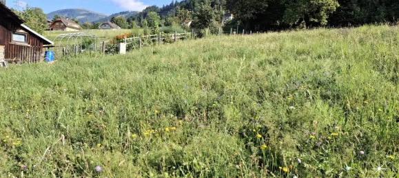 Земельный участок 1265м² в Милльстатт ам Зе, Австрия № 221049 5