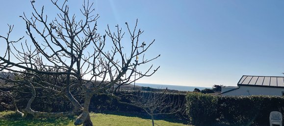 3 chambres Maison à Quiberon, France No. 198224 9
