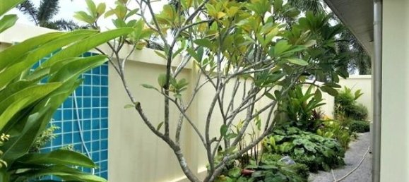 4 bedrooms Cafe / restaurant in Pattaya, Thailand No. 19805 4