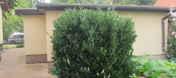 Таунхаус с 6 комнатами в Лейпциг, Германия № 64402 8