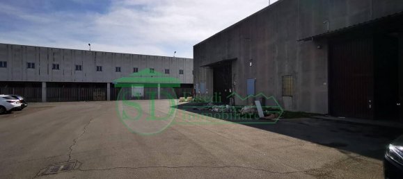 Lagerhaus in Pieve Emanuele, Italy 473m², Nr. 86623 16