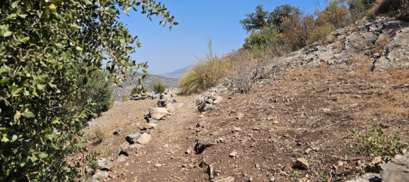 4 bedrooms House in Iznajar, Spain No. 187846 40