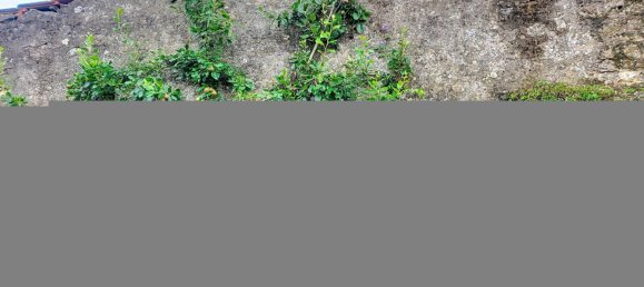 Дом с 3 спальнями в Марон, Франция № 244782 7