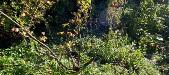 Adosado de 3 dormitorios en Esslingen, Germany No. 369940 24