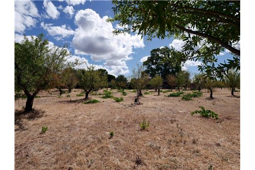1 bedroom House in Ostuni, Italy No. 298573