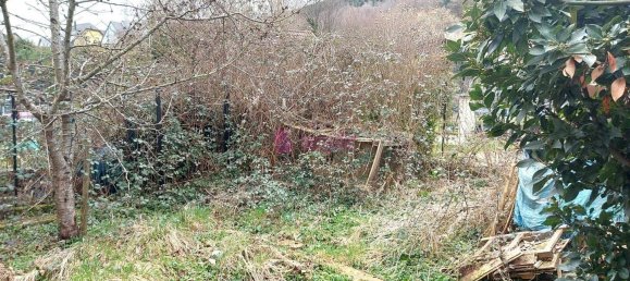 3 غرف نوم فيلا في Russ, France رقم 157490 2