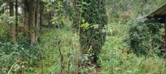 Casa de 3 divisões em Rhon-Grabfeld, Germany N.º 201237 6