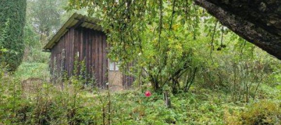 Casa de 3 divisões em Rhon-Grabfeld, Germany N.º 201237 5