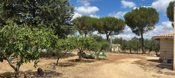 3 rooms Villa in Grottaglie, Italy No. 295984 66