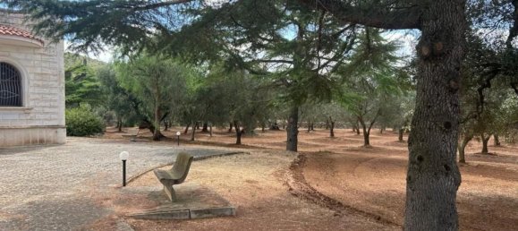 3 rooms Villa in Grottaglie, Italy No. 295984 8