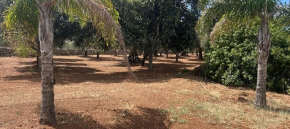 3 rooms Villa in Grottaglie, Italy No. 295984 72