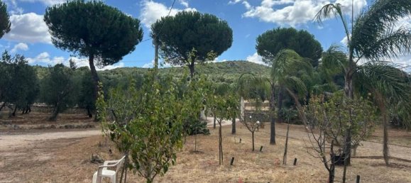 3 rooms Villa in Grottaglie, Italy No. 295984 64